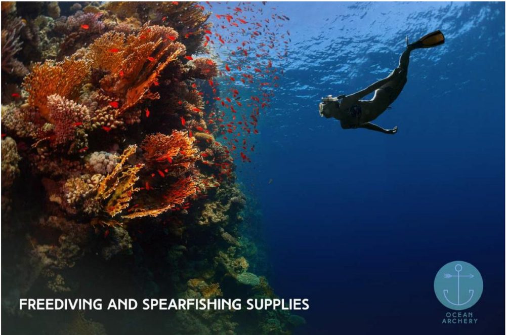 Straywest — Spearfishing poster