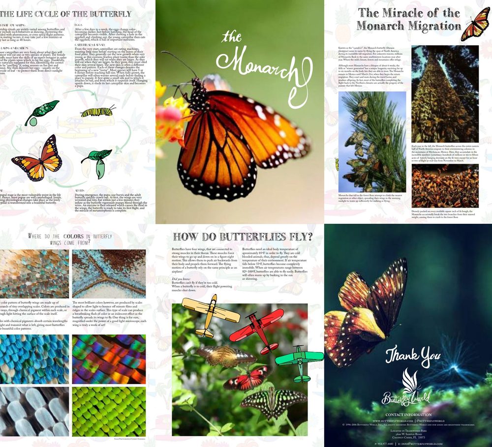 Butterfly World — “The Chronicle” magazine