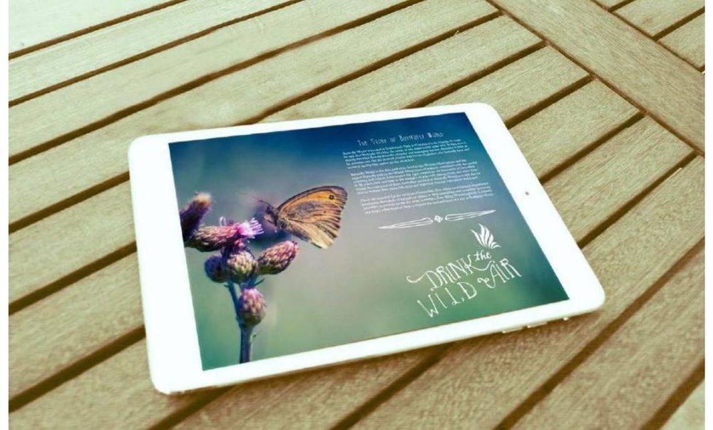 Butterfly World — Digital edition