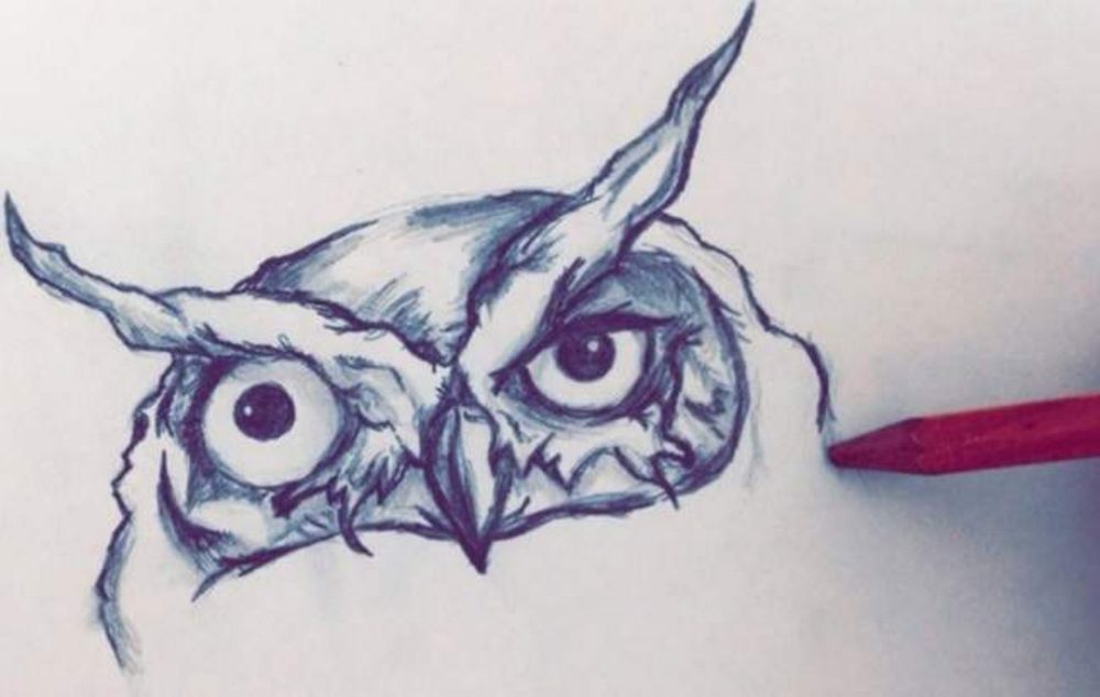 Personal — Owl study