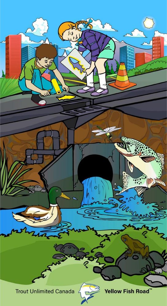Trout Unlimited Canada — Yellow Fish Road education poster